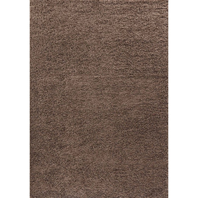 Esterly Shaggy Brown Rug