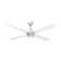 Feagin 122cm Ceiling Fan with LED Lights