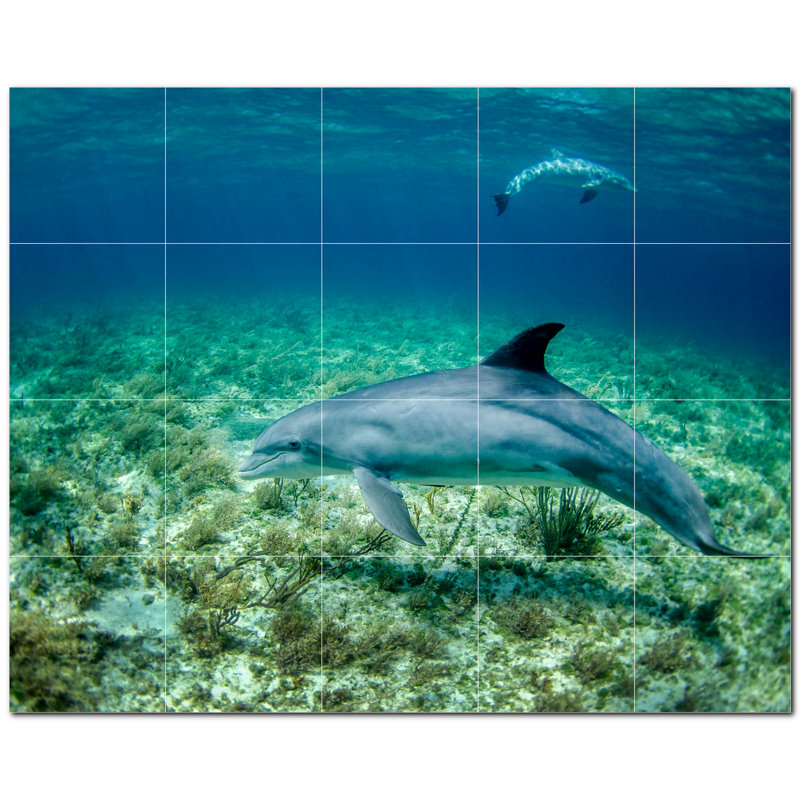 Murale en céramique 8 "x 8" Dolphin Photo