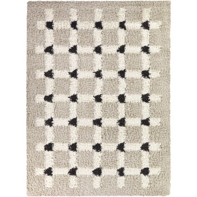 Yingling Taupe Trellis Shag Area Rug