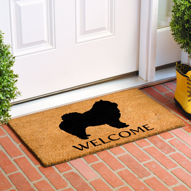 Tapis d'intérieur antidérapant Chow Chow, l 24 po x L 36 po