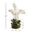 Phalaenopsis Orchid Bowl Drop-In 20"-1456498291