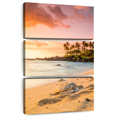 Tortue de plage Brampt Kukio