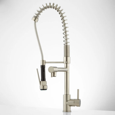 Robinet de cuisine à poignée simple avec accessoires Levi