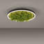 Ahlivia Not Applicable LED Flush Mount