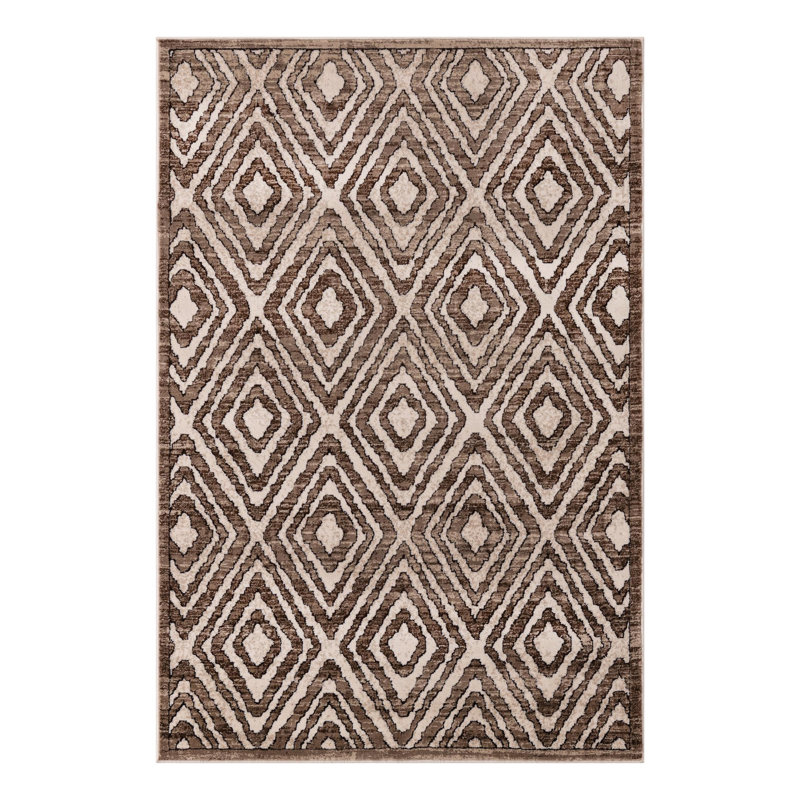 Amorrah Moroccan Indoor Rug, Rectangle 4' x 6'