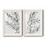 Sprig Contour I - ensemble de 2 reproductions d'art sur papier encadré-285995245-285995234