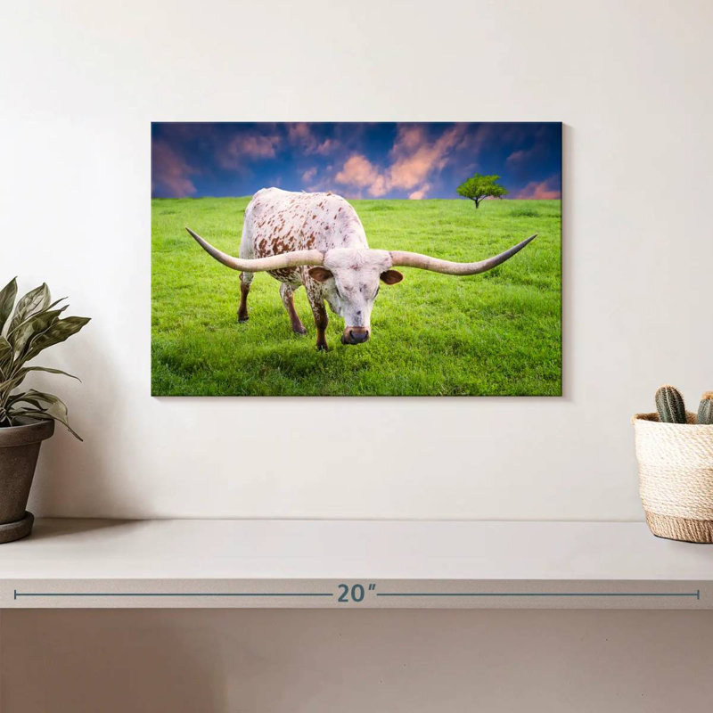 Brampt White Longhorn, 8" H x 12" W