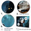 Dalmatian Dream II - impression-87742055-87742048