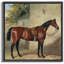 «Majestic Chestnut Horse», reproduction d'art sur toile-709904130-709904132