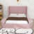 Rose est en rupture de stock