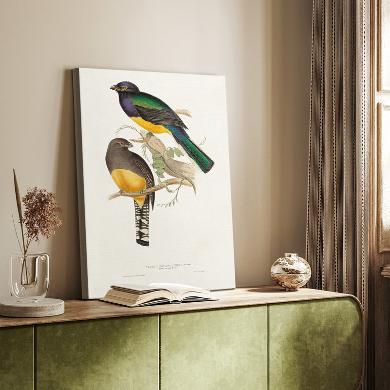 ElegantTrogons III - Gallery Cavas sur mesure, H 48 po x l 32 po