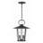 Tranesha 4 - Light Outdoor Hanging Lantern