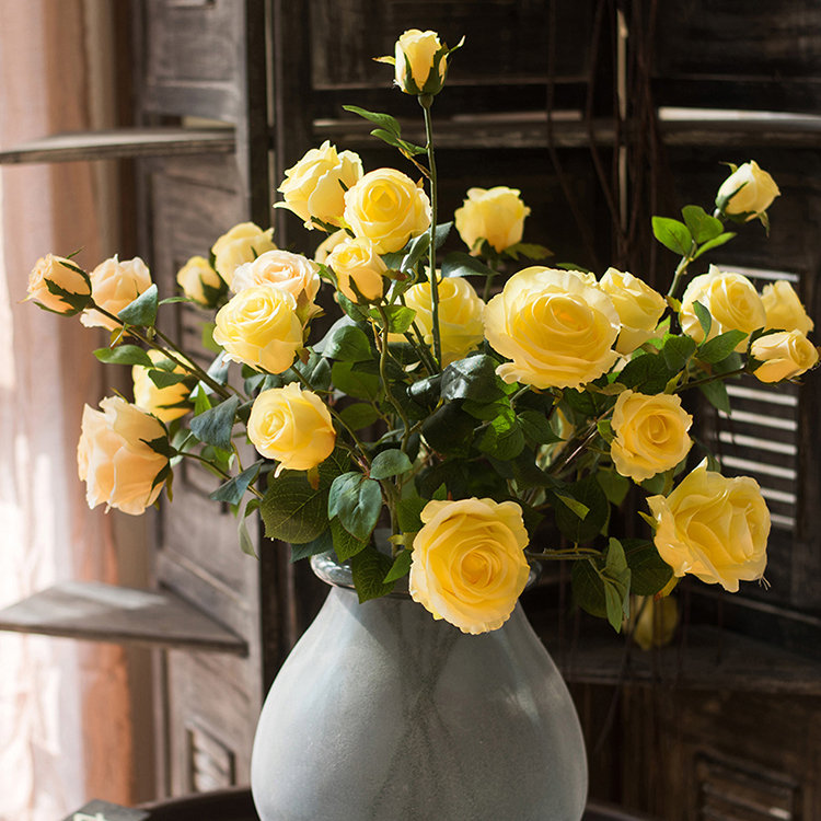 Tige de rose rustique, Jaune