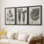 Blossfeldt Botanical I  -Custom Framed  Wrapped Gallery Canvas - 3 Pieces-1478250058