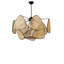 Chandle Chandelier