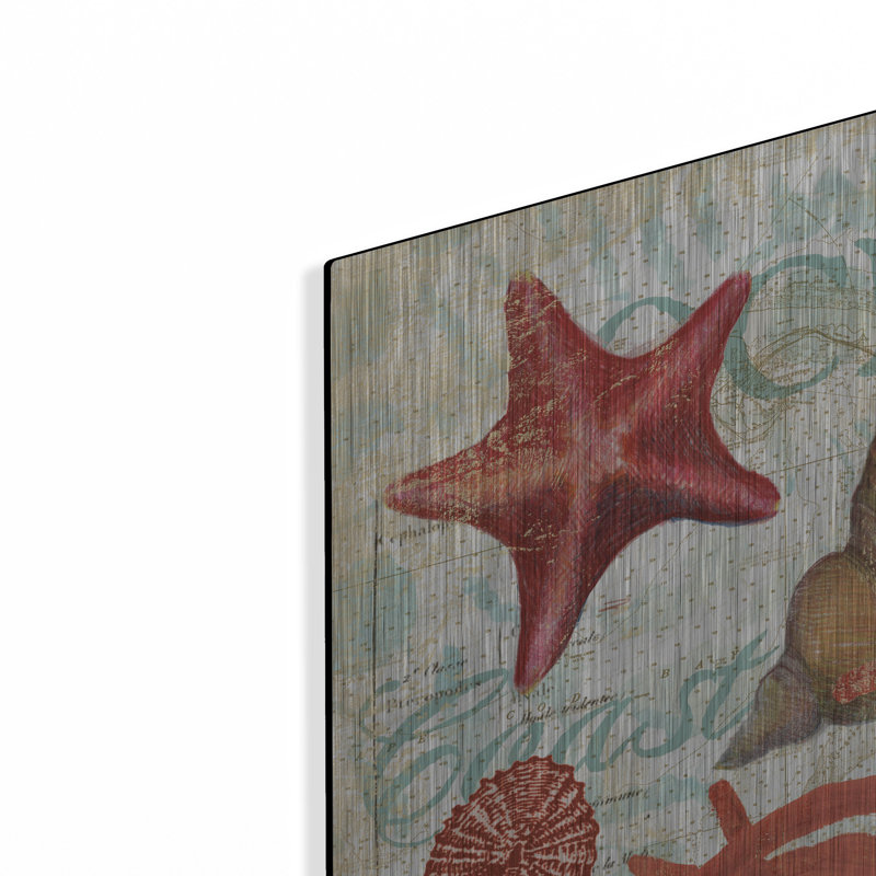 Highland Dunes «Shell Collector 1i» par Art Licensing Studio, art mural en métal, H 24 po x l 24 po