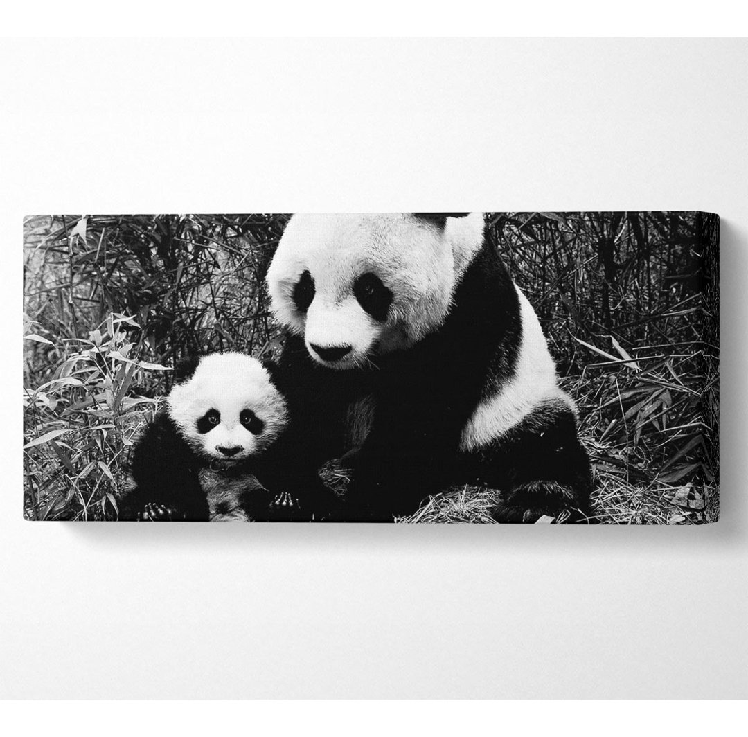 Panda Mutter und Baby - Kunstdrucke auf Leinwand