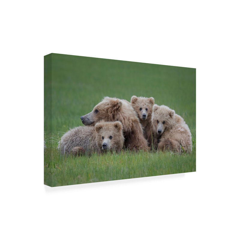 Art sur toile Renee Doyle Bear Huddle, H 12 po x l 19 po