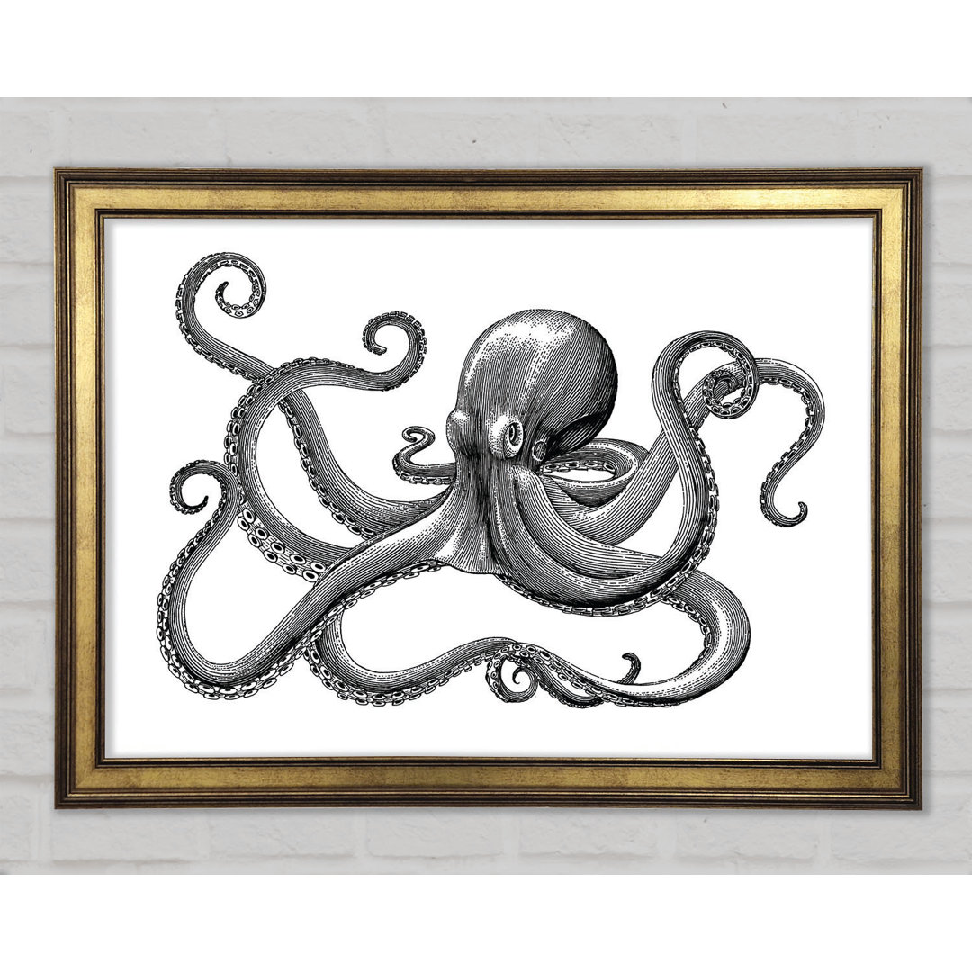 Oktopus Illustration Gerahmter Druck