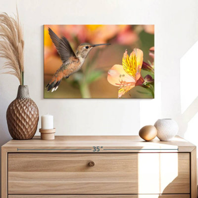 Brampt Charming Hummingbird