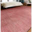 Area Rug in Red