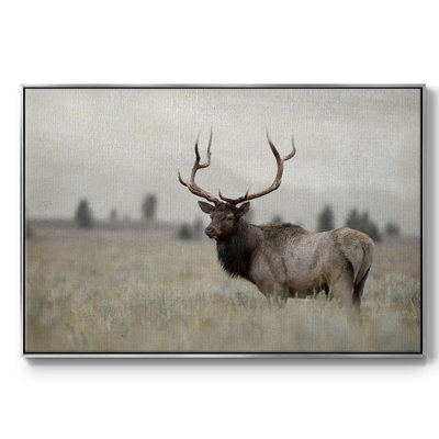 " Grand Elk "