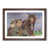 Walnut Framed