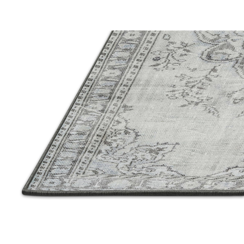 Philipston Oriental Indoor Rug, Rectangle 2' x 3'