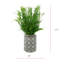 Herbe succulente artificielle 17 po dans un vase décoratif