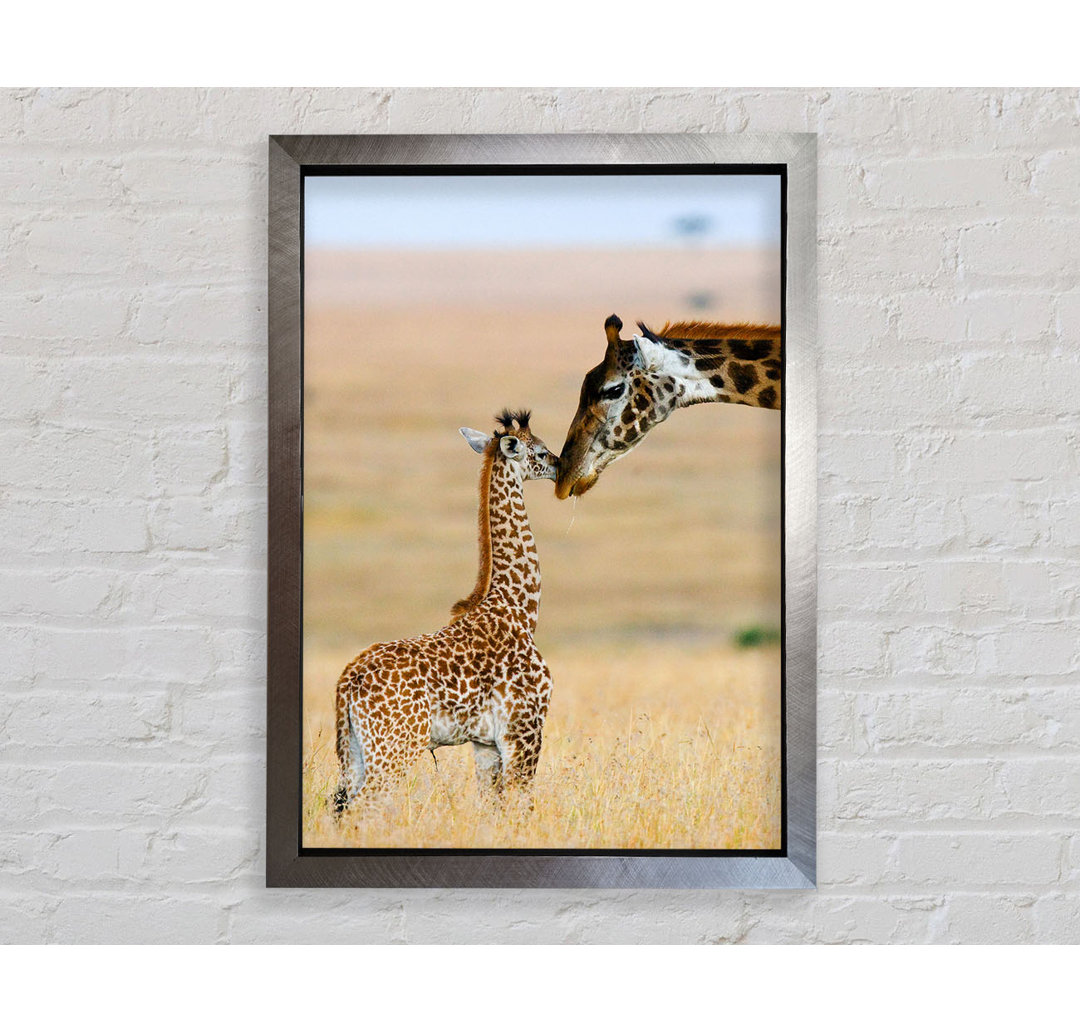 Baby Giraffe Love - Einzelner Bilderrahmen Kunstdrucke