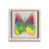 Rainbow is out of stock