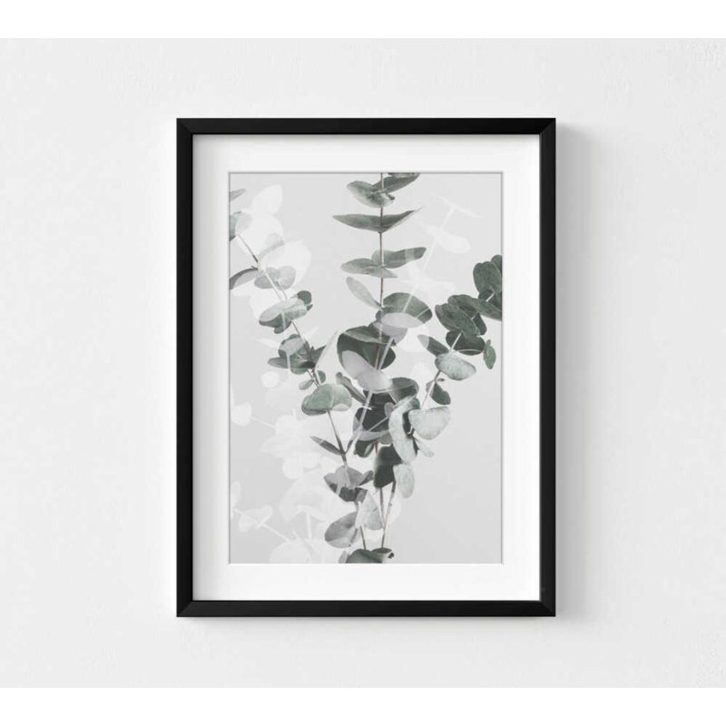 Reproduction d'art botanique murale: Eucalyptus vert doux - décor naturel moderne, Noir, Blanc, H 12 po x l 16 po