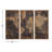 3 Piece Multi-Piece Image on Wood