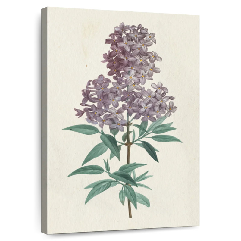Victorian Garden Flowers III, H 45 po x l 30 po