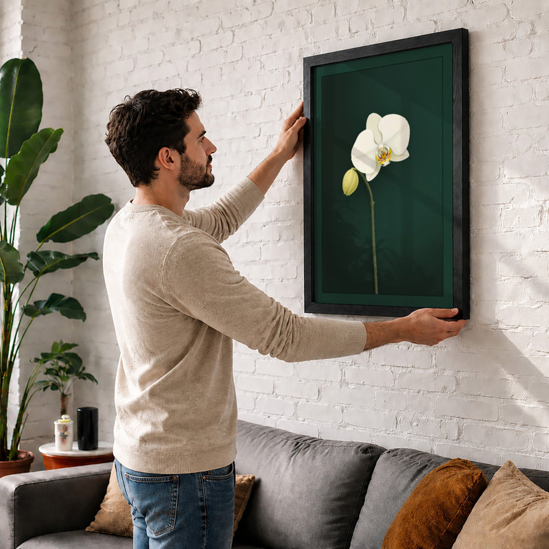 Orchid Study Botanical - Framed Print, A1 - 84.1 x 59.4 cm, White