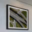 Karolis Janulis - Single Picture Frame Print-167305200