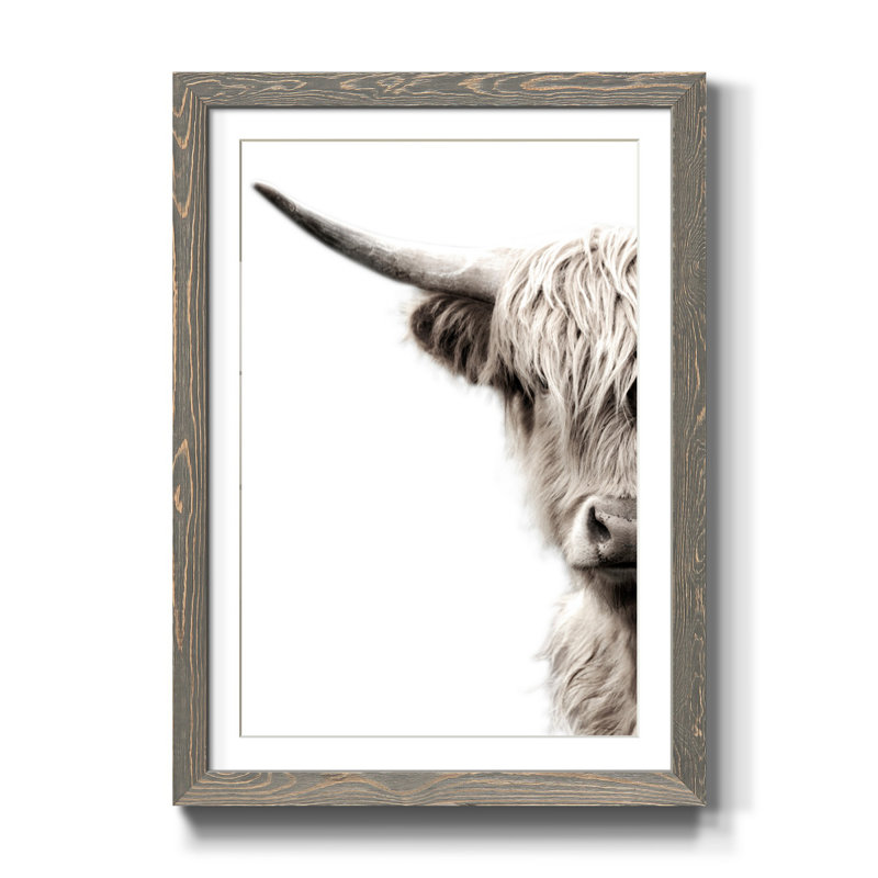 Bétail des Highlands - reproduction de photo, H 31,5 po x l 23,5 po x P 1,5 po, Cadre en papier gris, Blanc
