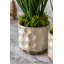 Spring Hydrangea White in Ceramic Pots