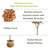 Waddell 60 " H Faux Eucalyptus Tree