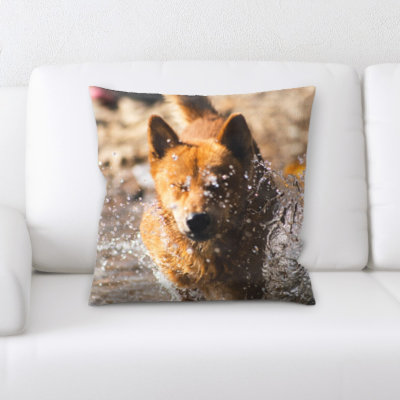 Coussin pour chien