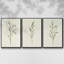 Olive Leaves I, ensemble de 3 toiles encadrées sur toile-616618754-616618759