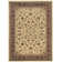 Safira Oriental Indoor Rug
