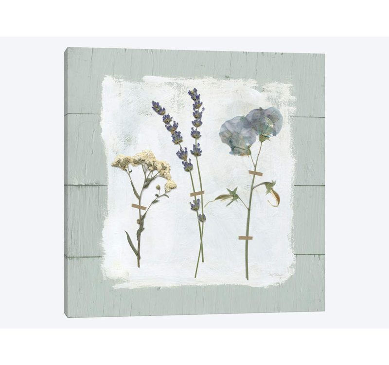 Carol Robinson - Wrapped Canvas Print, 66.04 cm H x 66.04 cm W x 3.175 cm D