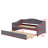 Twin Size Upholstered Daybed With Light And Trundle-1963844854