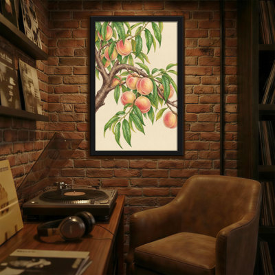 Plantes et fleurs - Branche de pêcher avec des fruits qui mûrissent