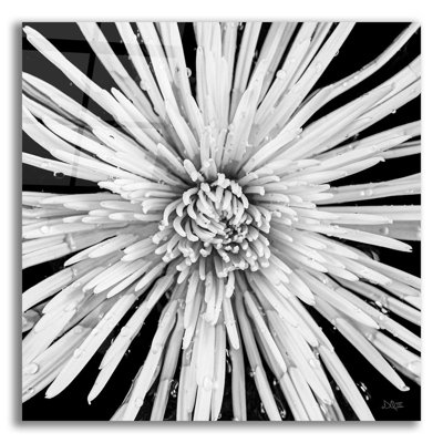 " Black And White Love " by Donnie Quillen