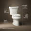 Wellworth® 1.6 GPF Elongated Two-Piece Toilet (Seat Not Included)-101431498-10979810
