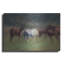 «Southern Horses» par Valtcho Tonov-1828576023