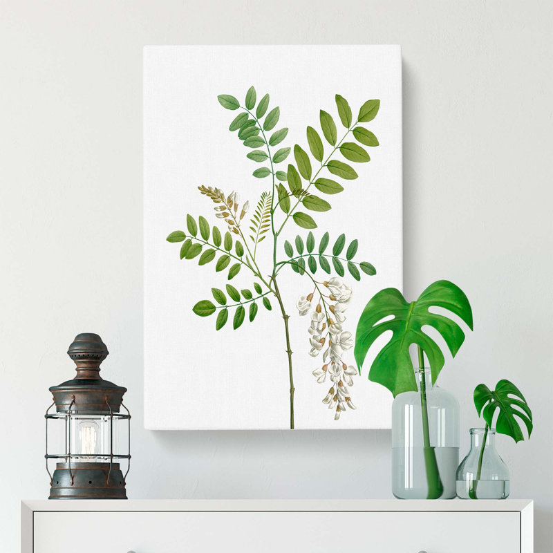Acacia Tree Flowers - Wrapped Canvas, 50cm H x 35cm W x 3cm D